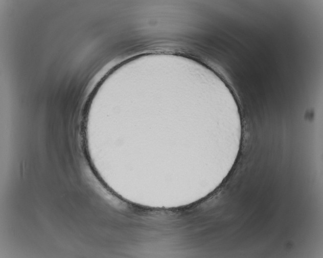 X0000113011091200910081217