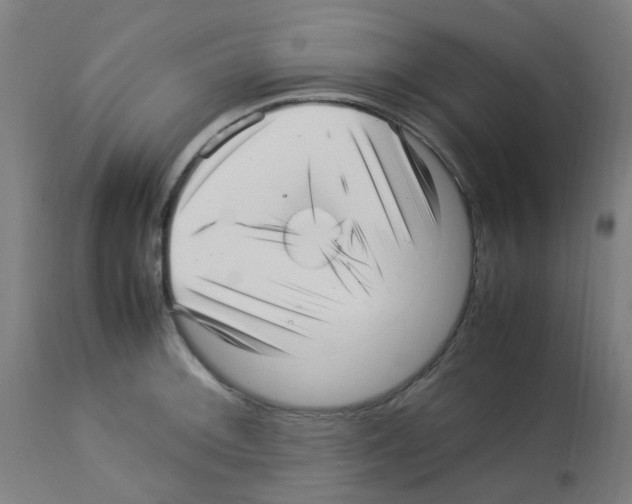 X0000113011092200910081217