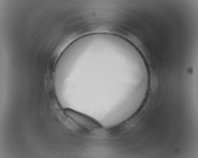 X0000113011097200910081217