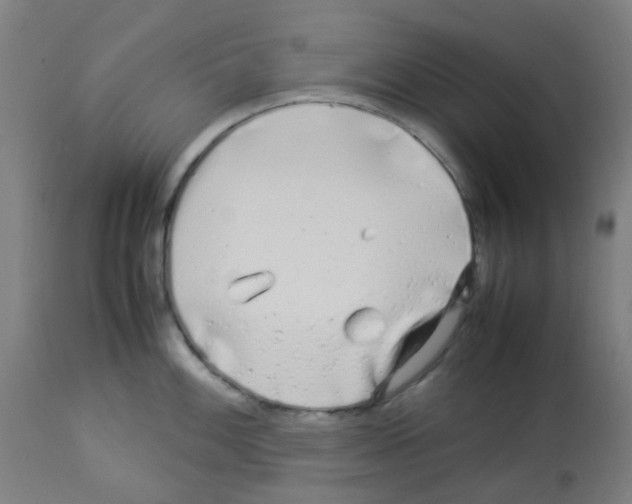X0000113011100200910081217