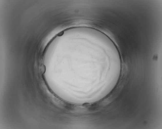 X0000113011101200910081217