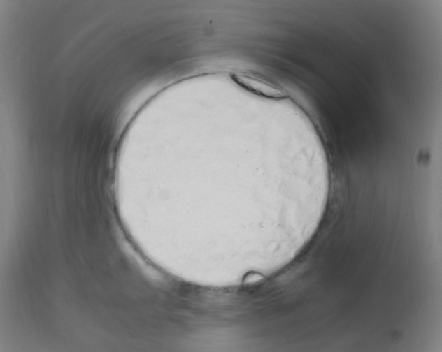 X0000113011103200910081217