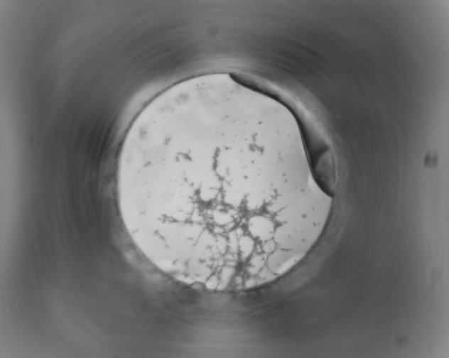 X0000113011104200910081217