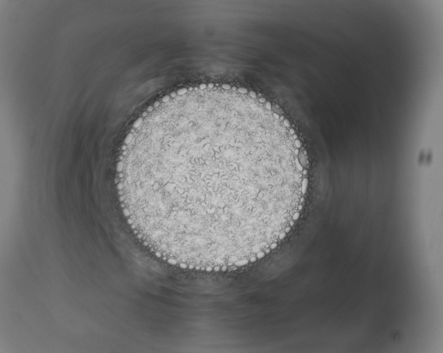 X0000113011105200910081216