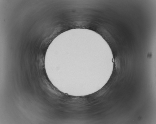 X0000113011107200910081216