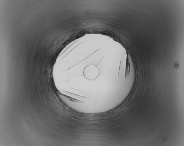 X0000113011108200910081216