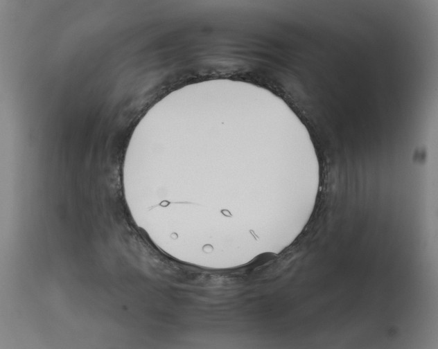 X0000113011109200910081216