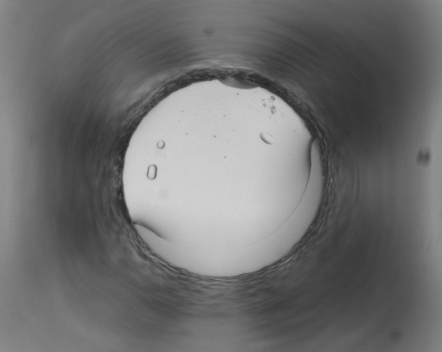 X0000113011110200910081216