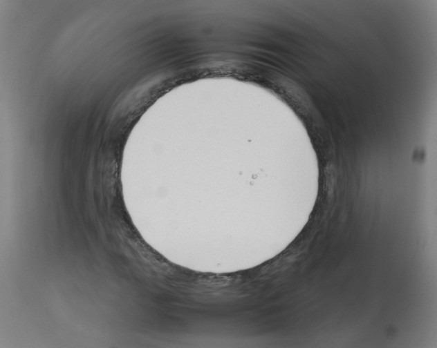 X0000113011111200910081216