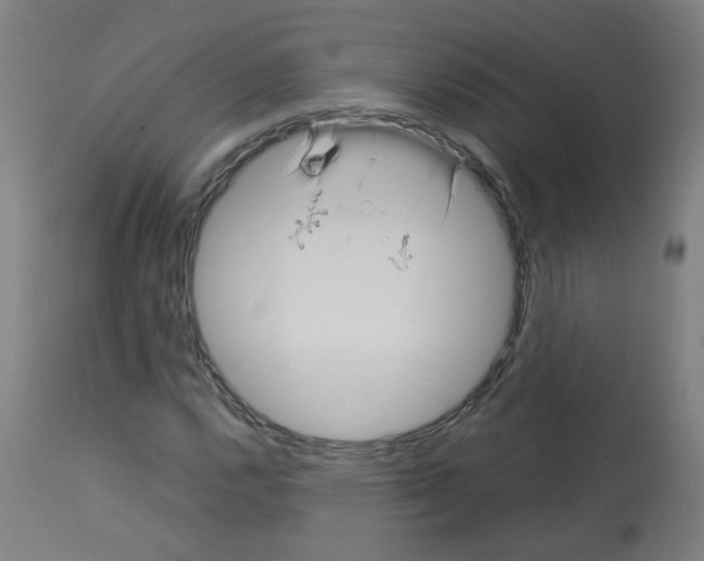X0000113011112200910081216