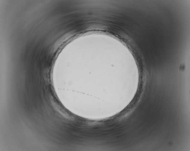 X0000113011113200910081216