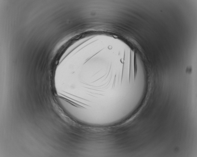 X0000113011114200910081216