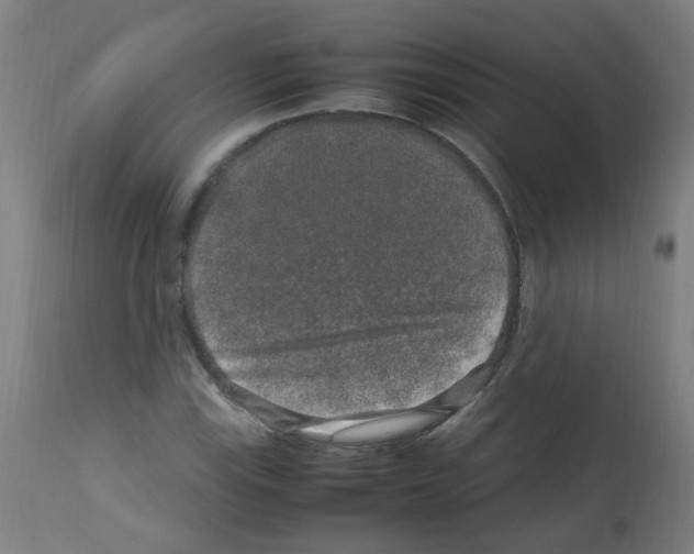 X0000113011115200910081216
