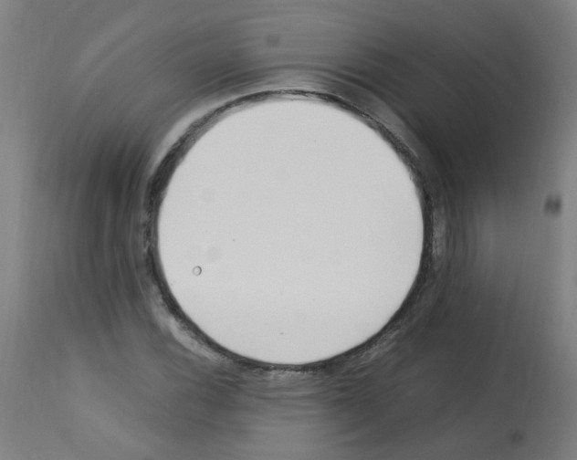 X0000113011116200910081216