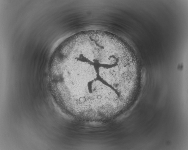 X0000113011117200910081216