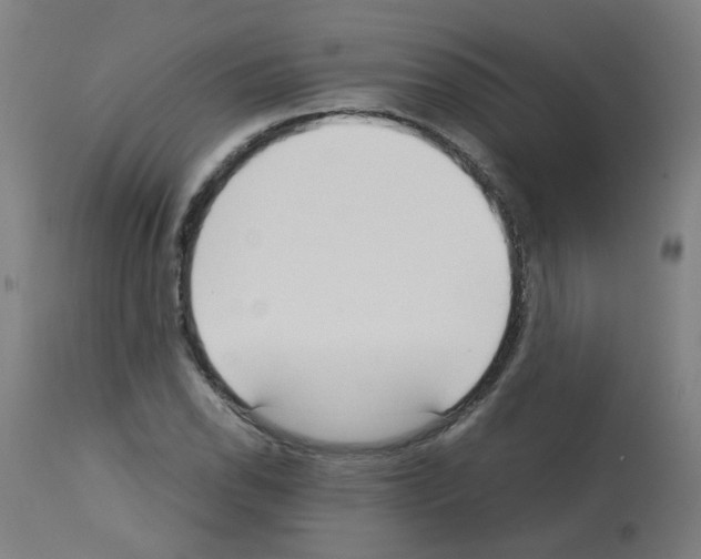 X0000113011118200910081216