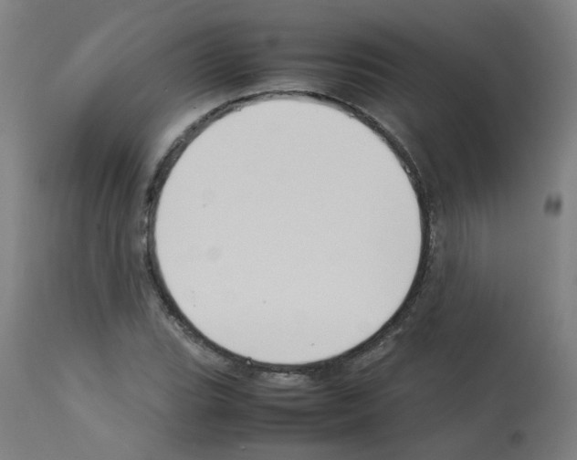 X0000113011119200910081216