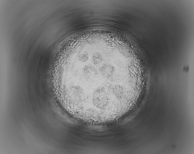 X0000113011121200910081216