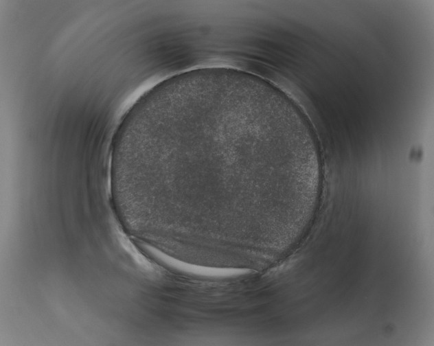 X0000113011127200910081216