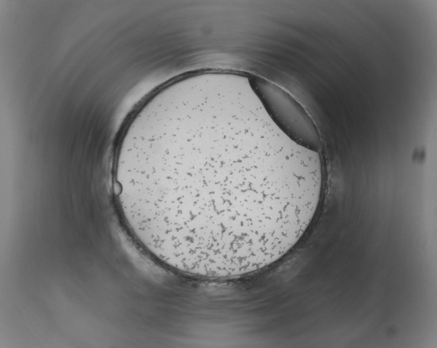 X0000113011128200910081216