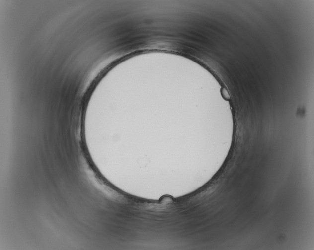 X0000113011131200910081216