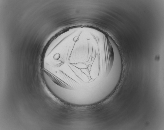 X0000113011134200910081216