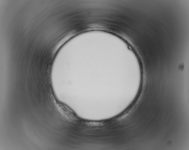 X0000113011137200910081217