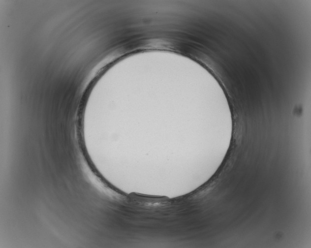 X0000113011139200910081217