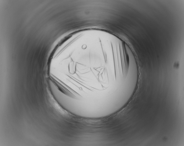 X0000113011140200910081217