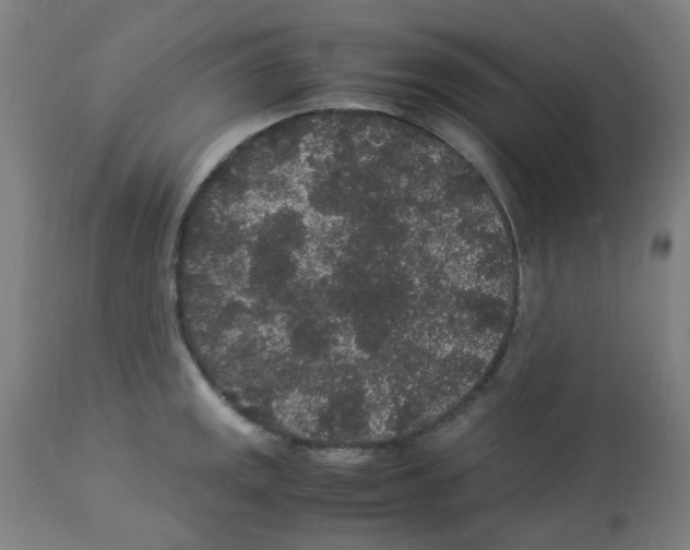 X0000113011141200910081217
