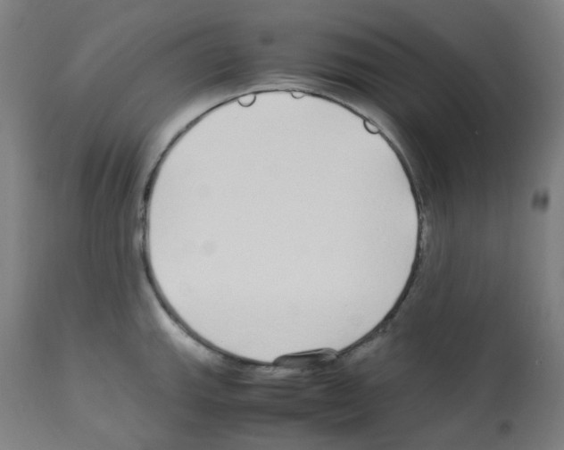 X0000113011143200910081217
