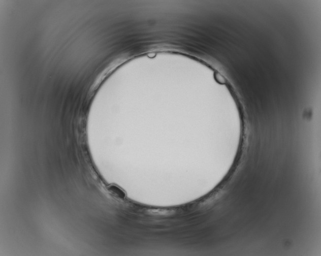 X0000113011145200910081217