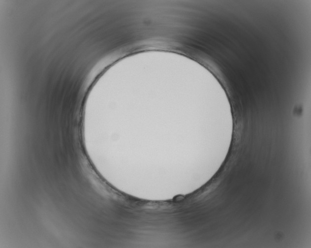 X0000113011146200910081217