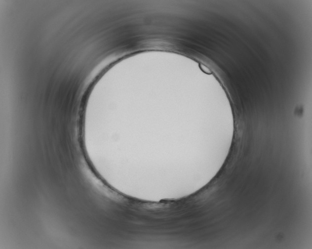 X0000113011147200910081217