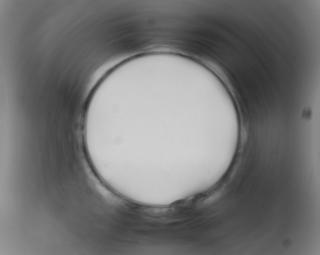 X0000113011149200910081217