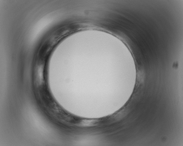 X0000113011150200910081217