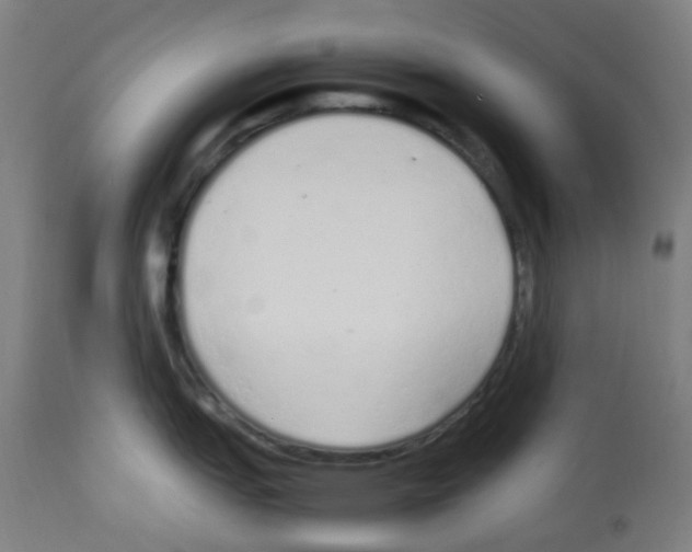X0000113011151200910081217