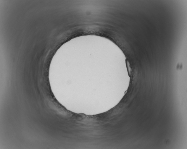 X0000113011153200910081216