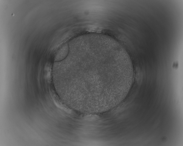 X0000113011154200910081216