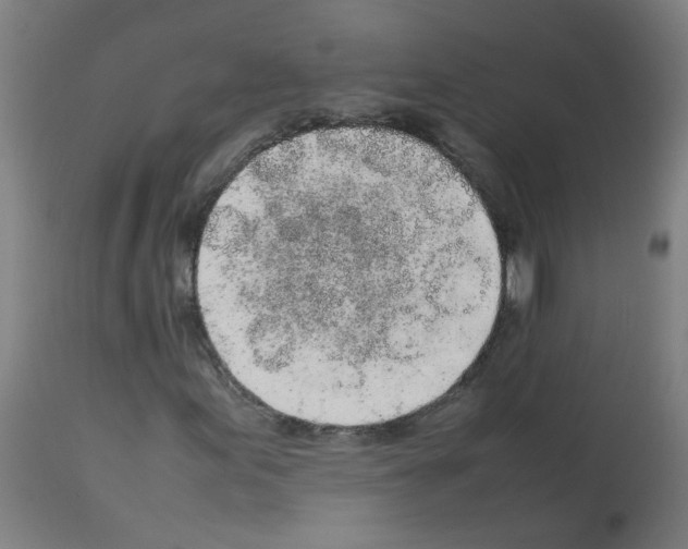X0000113011155200910081216