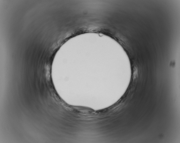 X0000113011156200910081216