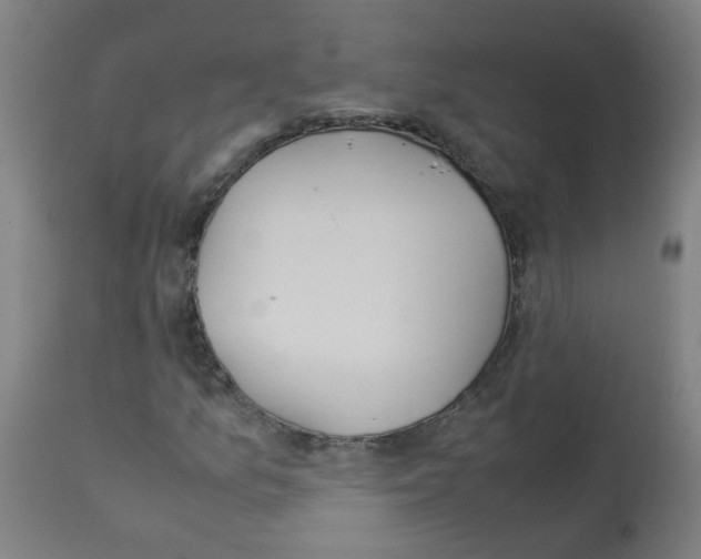 X0000113011157200910081216