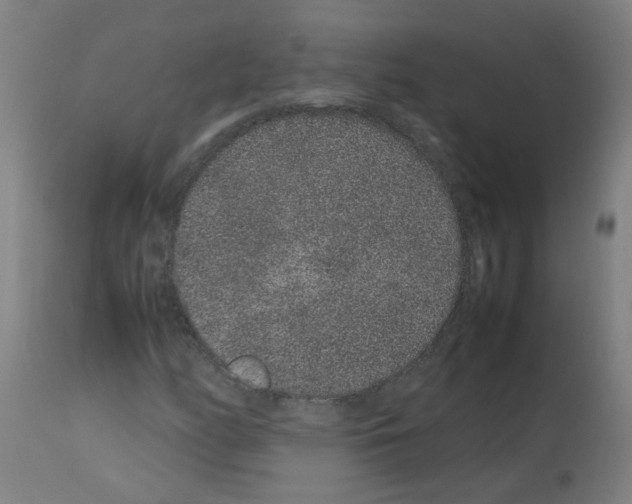 X0000113011158200910081216