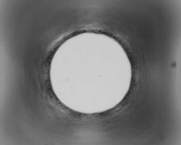 X0000113011159200910081216