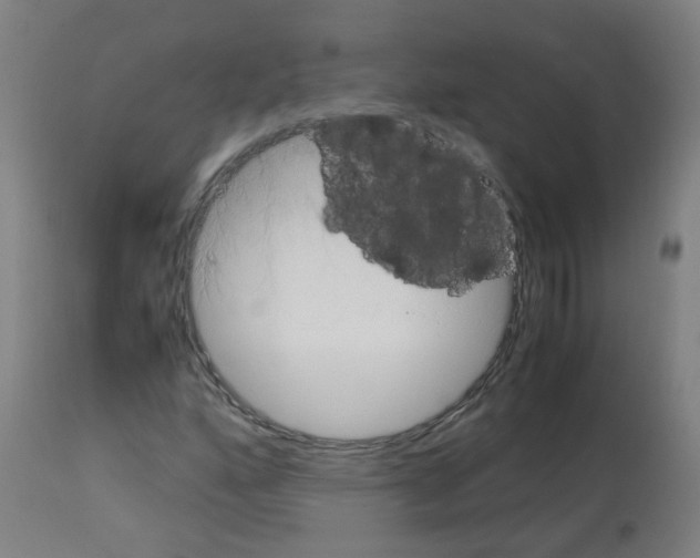 X0000113011160200910081216