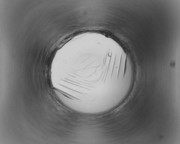 X0000113011161200910081216