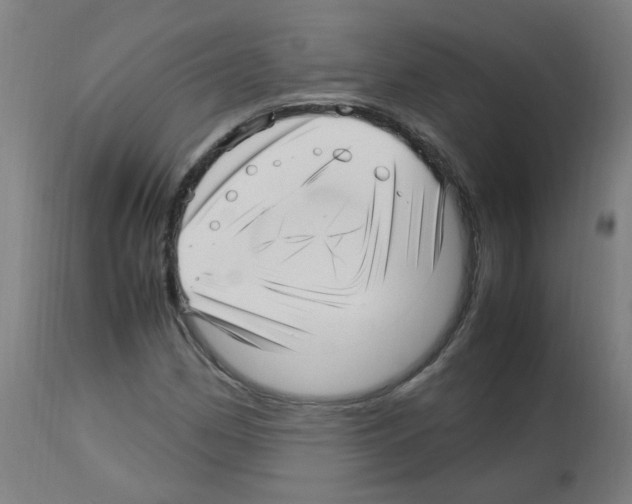 X0000113011162200910081216