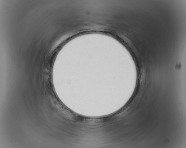 X0000113011163200910081216