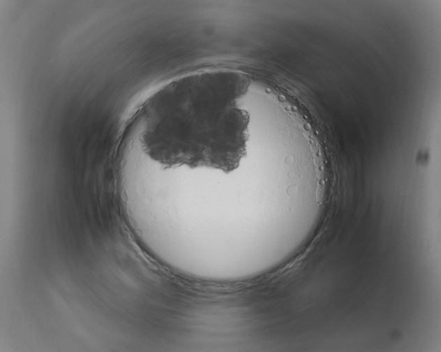 X0000113011164200910081216