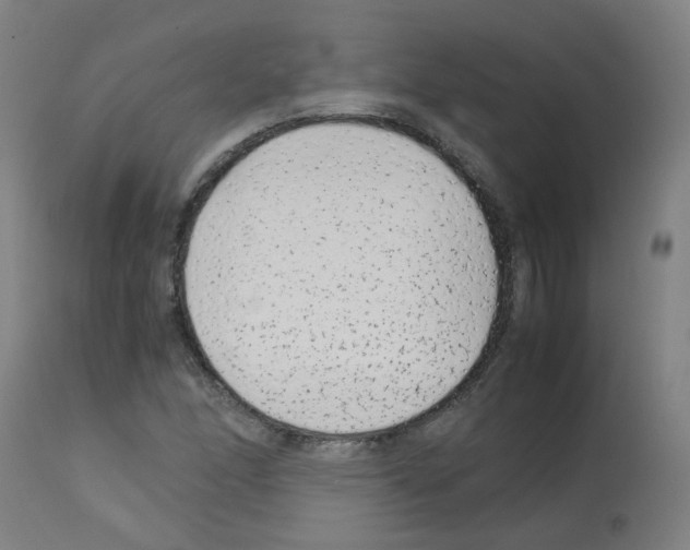 X0000113011166200910081216